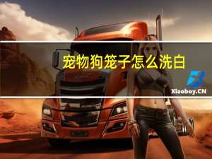 宠物狗笼子怎么洗白