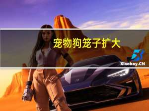 宠物狗笼子扩大