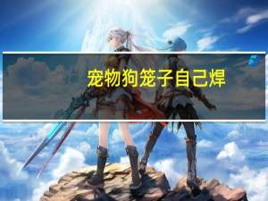 宠物狗笼子自己焊