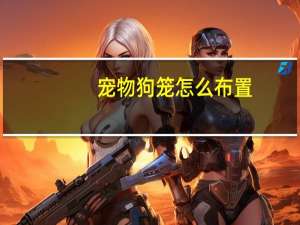 宠物狗笼怎么布置