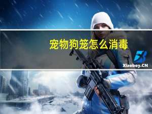 宠物狗笼怎么消毒