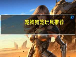 宠物狗笼玩具推荐