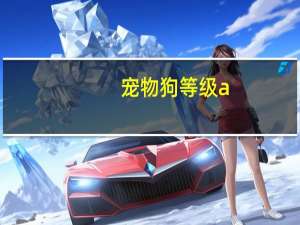 宠物狗等级a