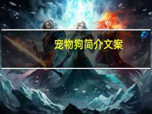 宠物狗简介文案