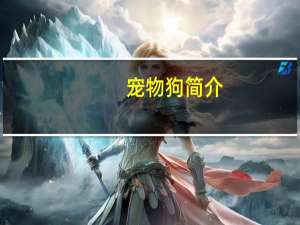 宠物狗简介