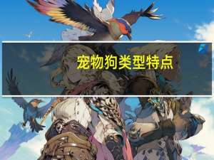 宠物狗类型特点