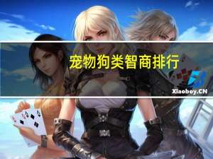 宠物狗类智商排行
