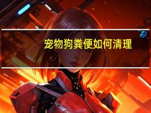 宠物狗粪便如何清理