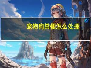 宠物狗粪便怎么处理