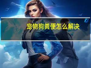 宠物狗粪便怎么解决