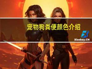 宠物狗粪便颜色介绍