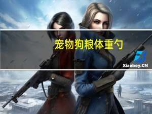 宠物狗粮体重勺