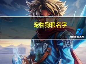 宠物狗粮名字
