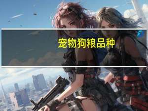 宠物狗粮品种