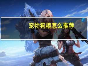 宠物狗粮怎么推荐