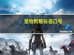 宠物狗粮标语口号