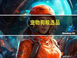 宠物狗粮选品