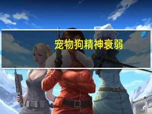 宠物狗精神衰弱