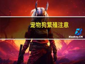 宠物狗繁殖注意