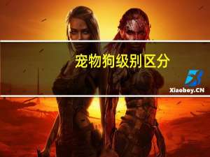 宠物狗级别区分