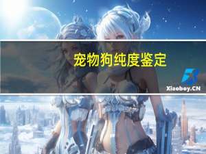 宠物狗纯度鉴定