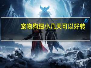 宠物狗细小几天可以好转