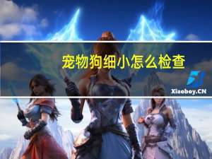 宠物狗细小怎么检查