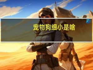 宠物狗细小是啥