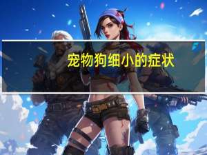 宠物狗细小的症状