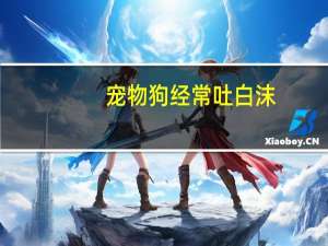 宠物狗经常吐白沫