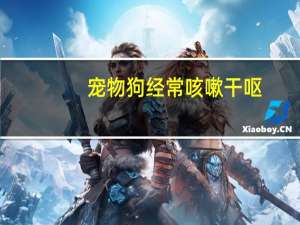 宠物狗经常咳嗽干呕