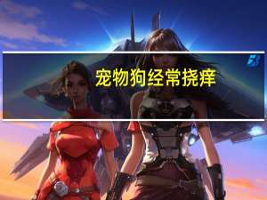 宠物狗经常挠痒