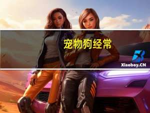 宠物狗经常