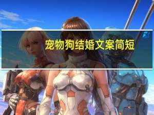 宠物狗结婚文案简短