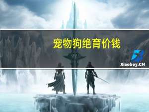 宠物狗绝育价钱