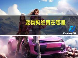 宠物狗绝育在哪里