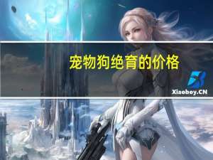 宠物狗绝育的价格