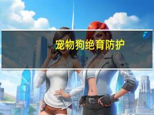 宠物狗绝育防护