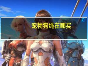 宠物狗绳在哪买