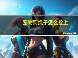 宠物狗绳子怎么拴上