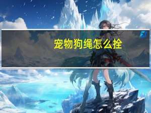 宠物狗绳怎么拴