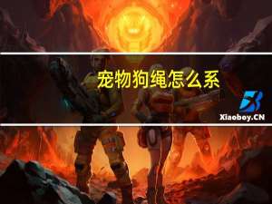 宠物狗绳怎么系