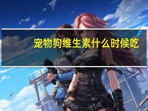宠物狗维生素什么时候吃