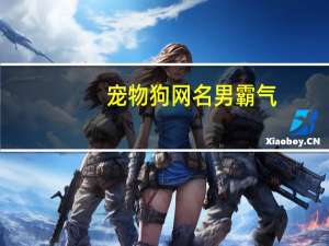 宠物狗网名男霸气