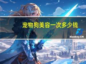 宠物狗美容一次多少钱