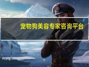 宠物狗美容专家咨询平台