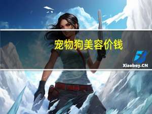 宠物狗美容价钱