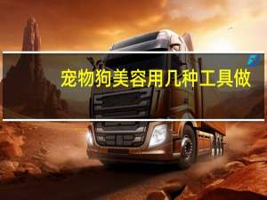 宠物狗美容用几种工具做