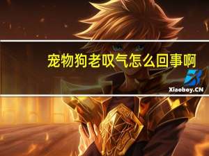 宠物狗老叹气怎么回事啊