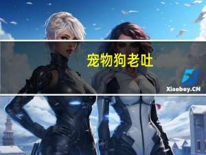 宠物狗老吐